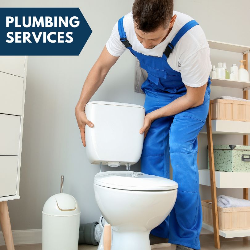 Plumbing Company in Lake Forest, IL